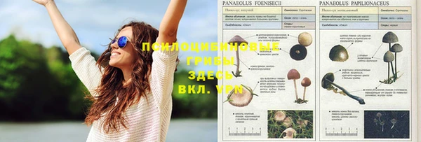 шишки Балабаново